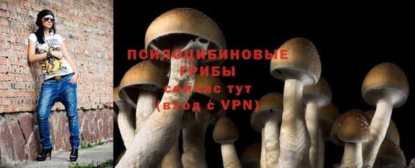 амф Балахна