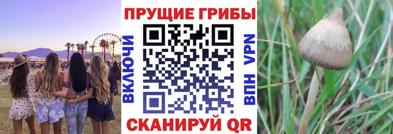 Псилоцибиновые грибы MAGIC MUSHROOMS Инза